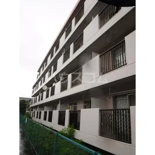 エクセルコートの画像