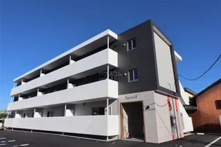 ペガサスIIの画像