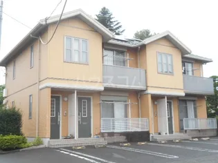 サラコルネホ ヴェルデの画像