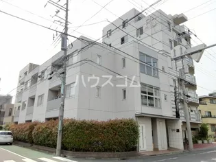 カトゥルスの画像