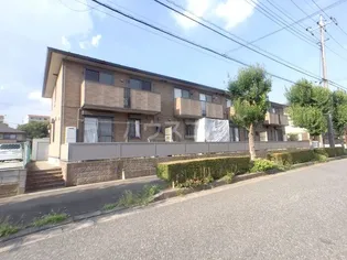 エクセレントマチハタの画像