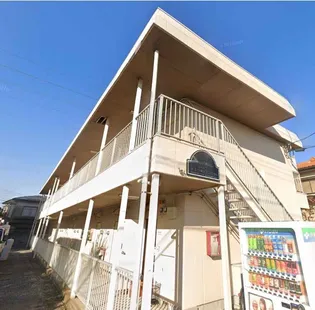 エバーグリーンの画像