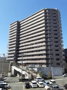 ライオンズシティ水戸の画像