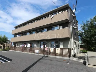 オアシスの画像