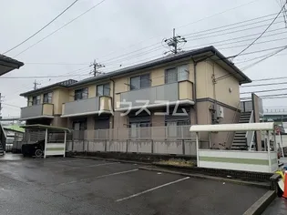 エクセーラ楠の画像