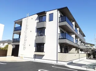 カメリア ORの画像