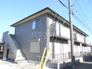 パインドールの画像