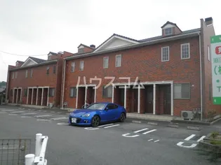 サーラ マンジェの画像