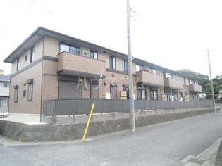 メイユール マチハタの画像