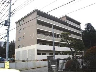 グリーンフォレストの画像