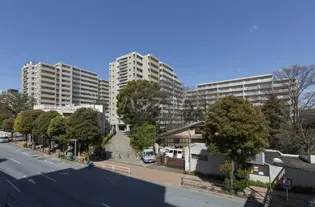 シティコート目黒3号棟 【5階】の外観