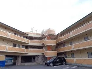 アイビス小絹Bの画像