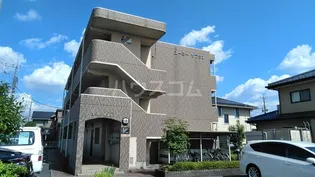 ユーミーサフランの画像