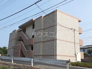 サンライトの画像