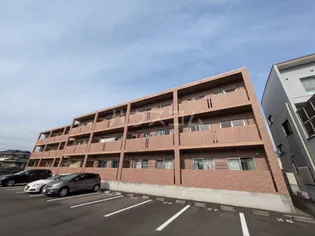 ミウ ベリーベルの画像