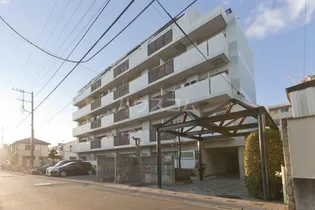 コスモ大宮の画像