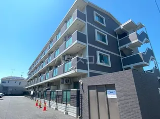 ヴィオラ コリーヌの画像