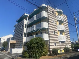 サフィーロの画像