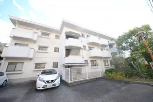 T アブニールの画像