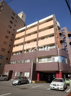 フェニックス瑞雲の画像