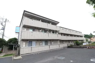 千葉県流山市大字東深井【マンション】の外観