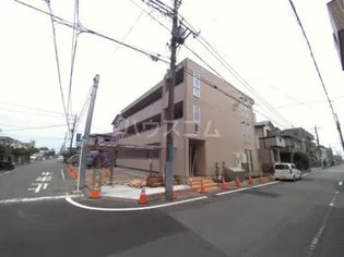 ゴールドワンコートの画像