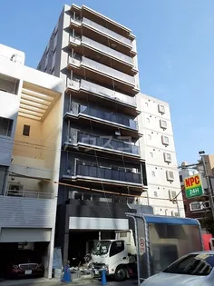 クレストソシアの画像