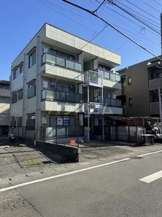 シャルムTの画像