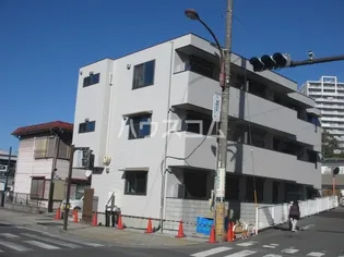 ミモザ コートの画像