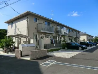 プラシデスABの画像