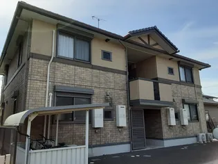 はなみずきの画像