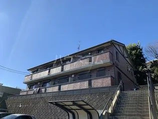 グラシューズ Mの画像