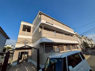 ラウム和泉の画像