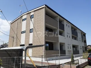 ベラ ヴィータの画像