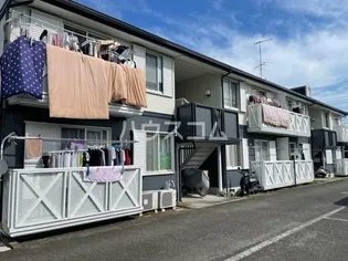 パストラルBの画像