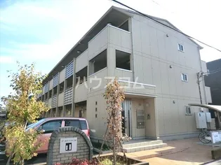 ゴールドパストラルVの画像