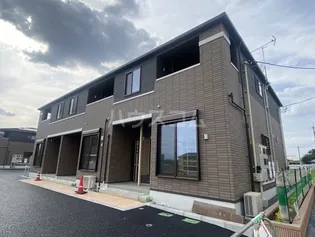 サンフラワー Aの画像