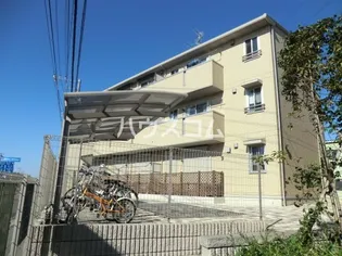 アネーロ チヨの画像