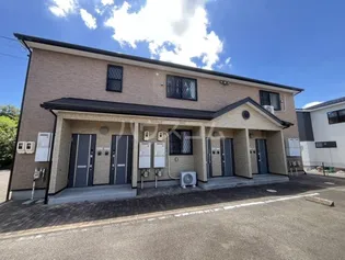 アンプルール リーブル SOLEADOⅡの画像