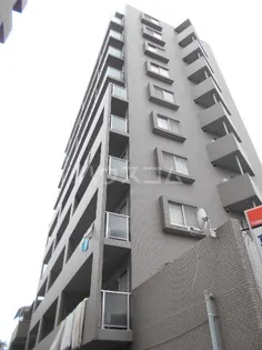 エバーグリーンの画像