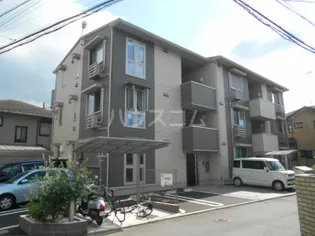 オリーブの画像