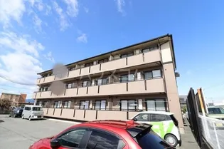 ミルホイール Vの画像