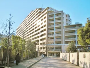 エールの丘の画像