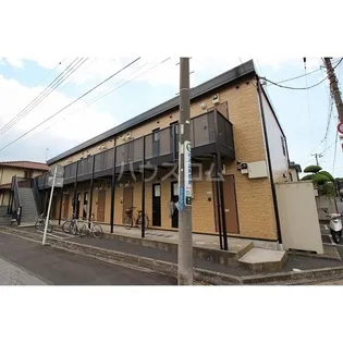 アムール ハルディーン ディ パライソの画像