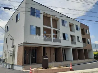 チェリーブロッサムの画像