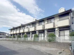 ビューラMの画像