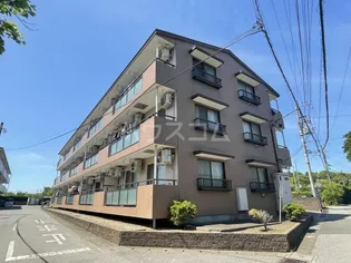 上志津田中ハイツB棟の画像