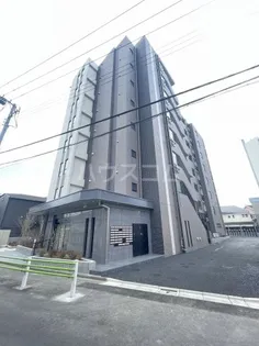 フリーダムファンの画像