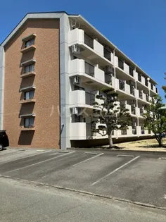 ハイライフ花中の画像