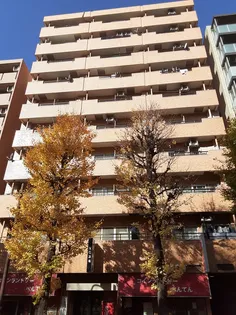 モナーク伊勢佐木【703号室】の外観